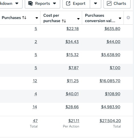 Meta Ads Manager results: 47 purchases at $21.11 per purchase, $27,504.20 in purchase conversion value.