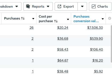 Meta Ads Manager results: Top ad set in this view: 26 purchases at $20.24 each, $7,506.30 in purchase conversion value.