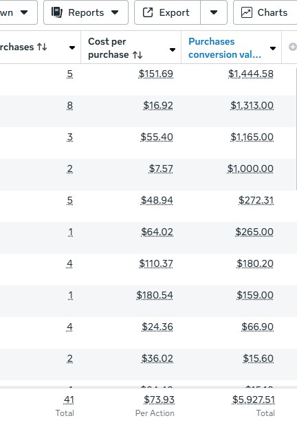 Meta Ads Manager results: 41 purchases at $73.93 per purchase, $5,927.51 in purchase conversion value.