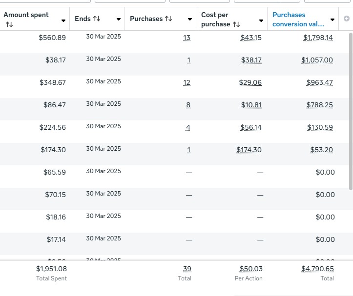 Meta Ads Manager results: $1,951.08 spent, 39 purchases at $50.03 each, $4,790.65 in purchase conversion value.